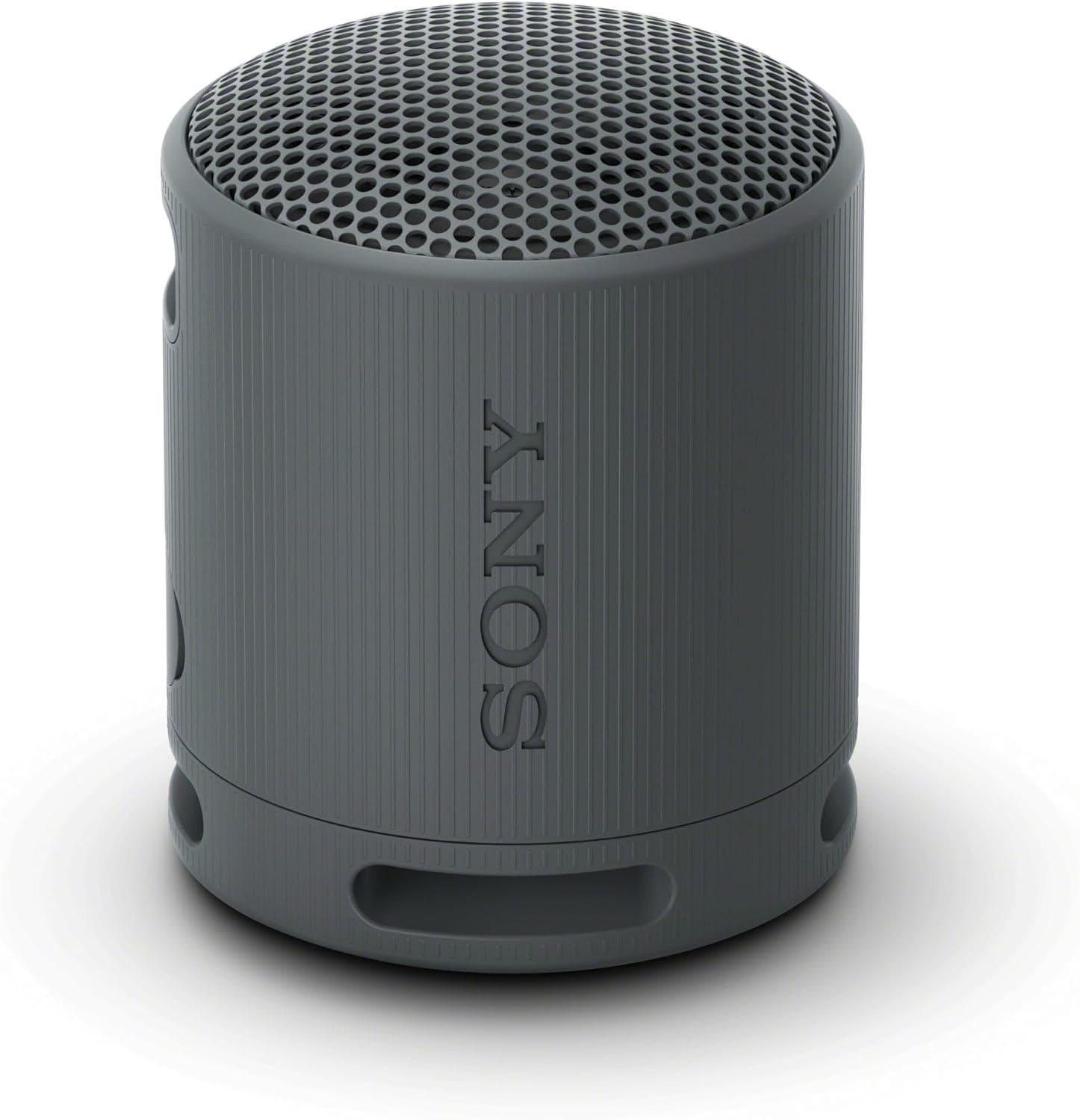 Sony SRS-XB100 Wireless Ultra-portable Bluetooth Speaker – Sound Diffusion Processor with Hands-free Calling & Versatile Strap